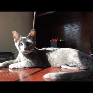 Meet your Posher, Ashley